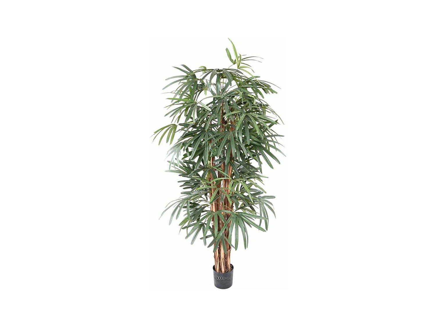 Palmier Raphis Artificiel H 150 cm D 60 cm en pot - dimhaut: H 150 cm - couleur: Vert