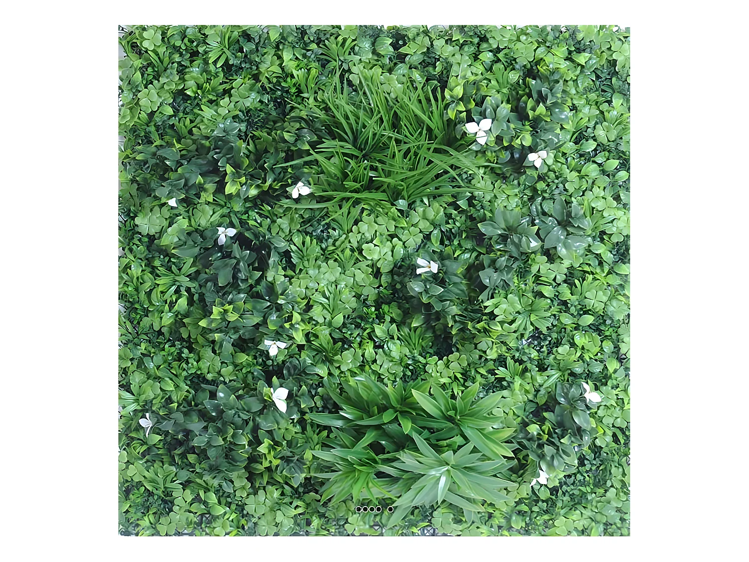 Mur végétal artificiel sur plaque en plastique extérieur 100 x 100 cm