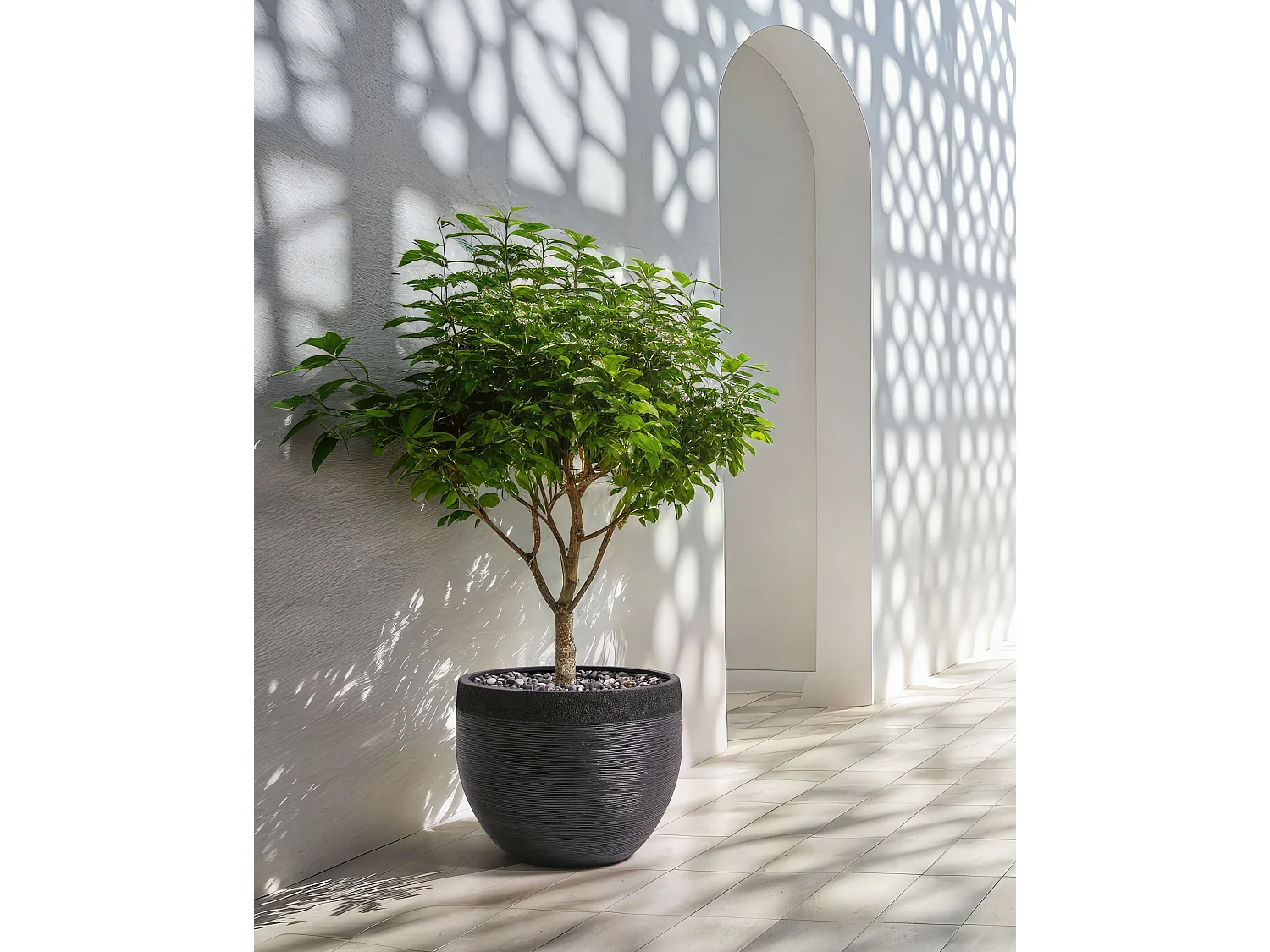 Cache-pot ZAKROS 50 cm Noir