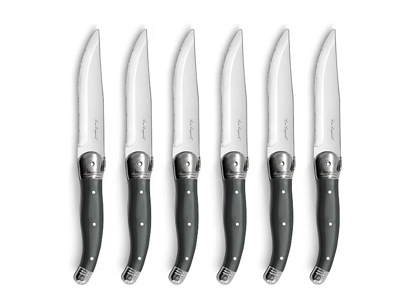 Tradition XL - Set 6 couteaux steak