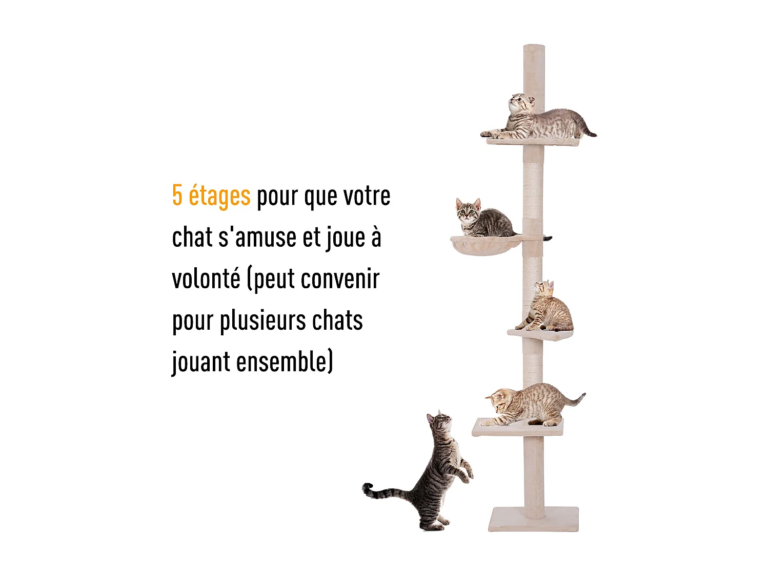 Arbre à chat poteau à griffer L40 x l 34 x H 230-260 cm 5 niveaux d'activités beige