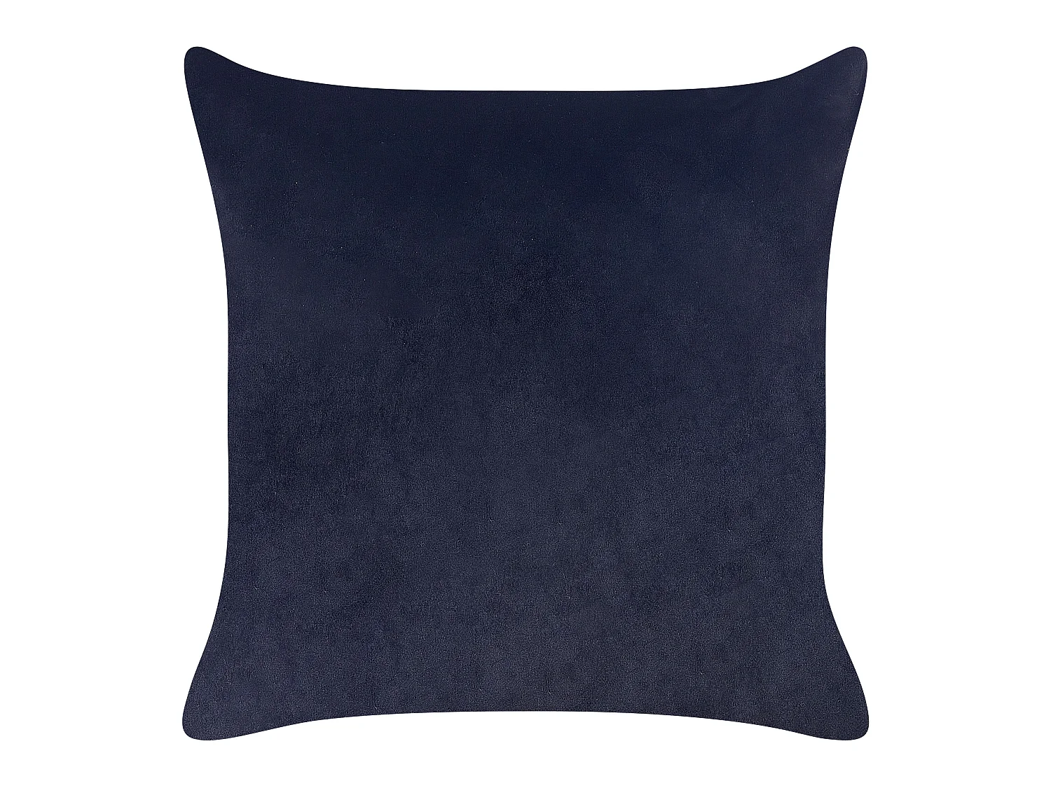 Lot de 2 coussins décoratifs GOLDENROD Velours 45 x 45 cm Noir Motif de plante