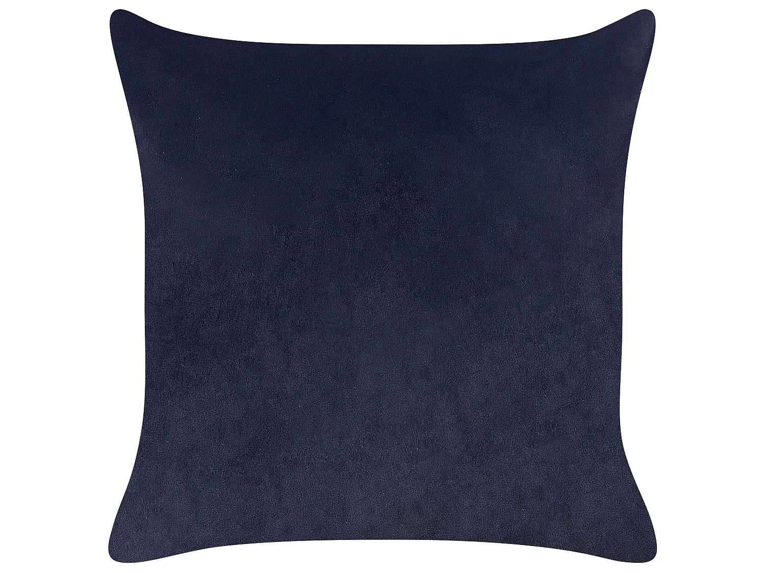 Lot de 2 coussins décoratifs GOLDENROD Velours 45 x 45 cm Noir Motif de plante