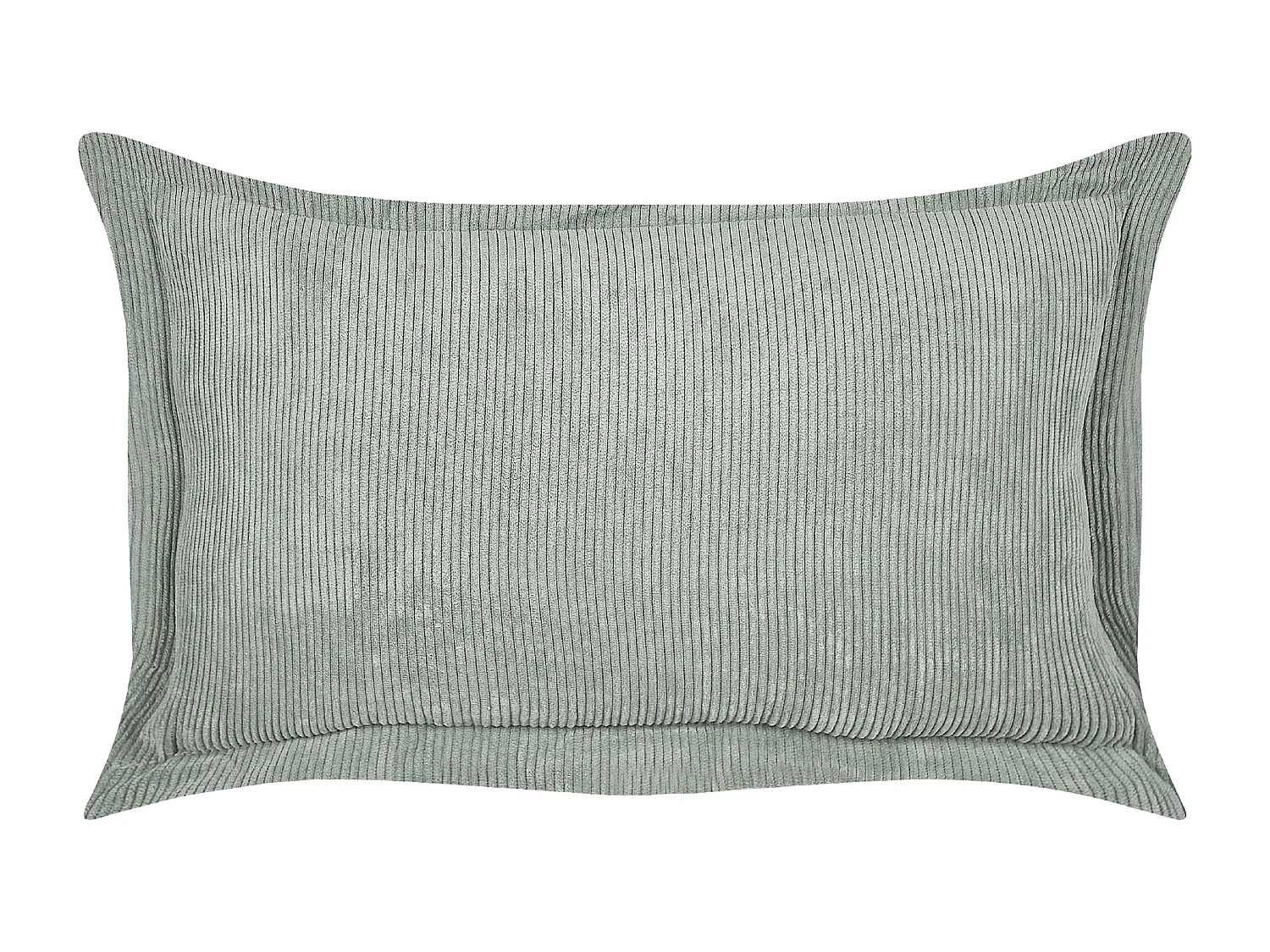 Lot de 2 coussins décoratifs ZINNIA Velours côtelé 47 x 27 cm Vert clair Unicolore