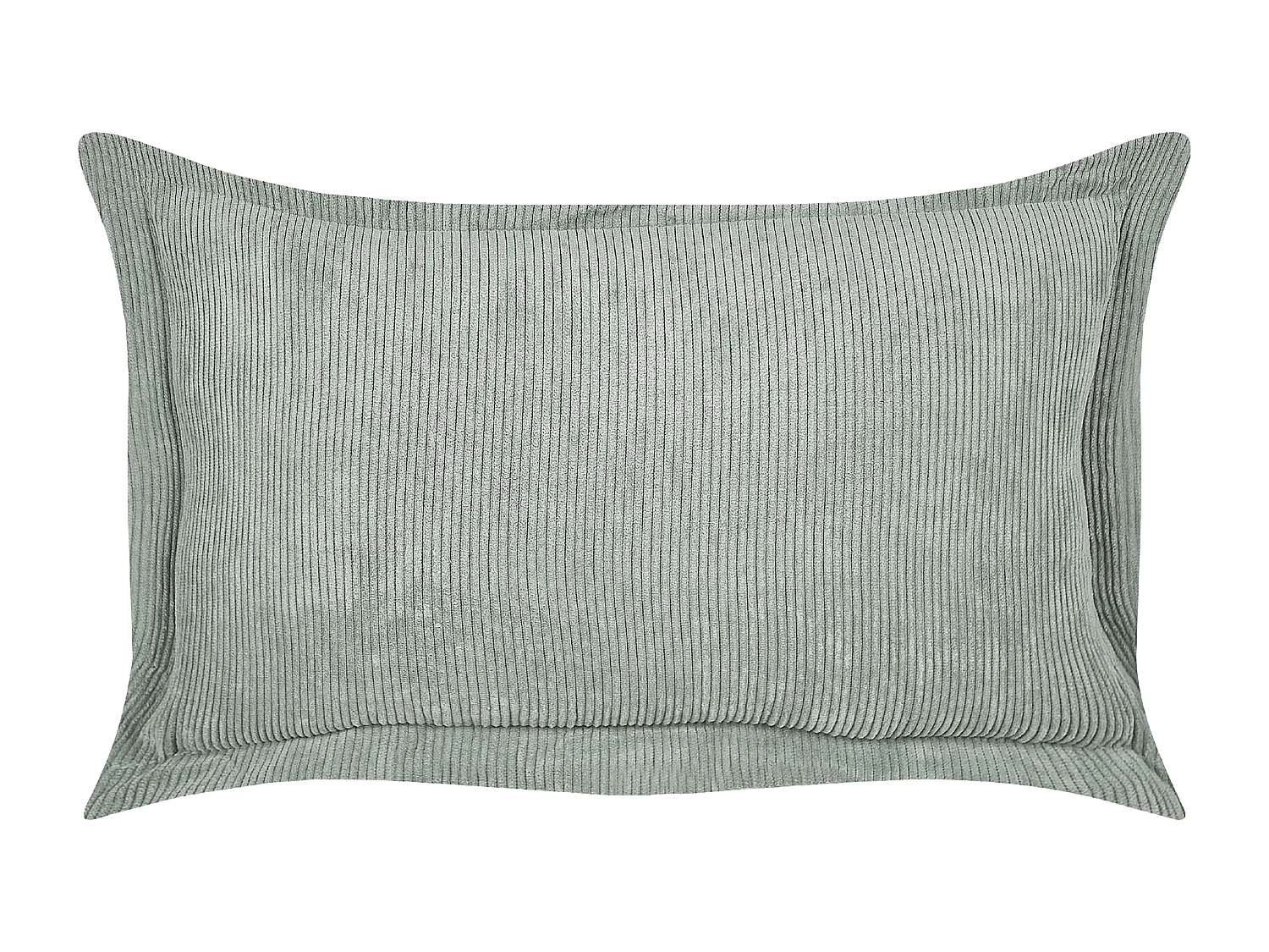 Lot de 2 coussins décoratifs ZINNIA Velours côtelé 47 x 27 cm Vert clair Unicolore