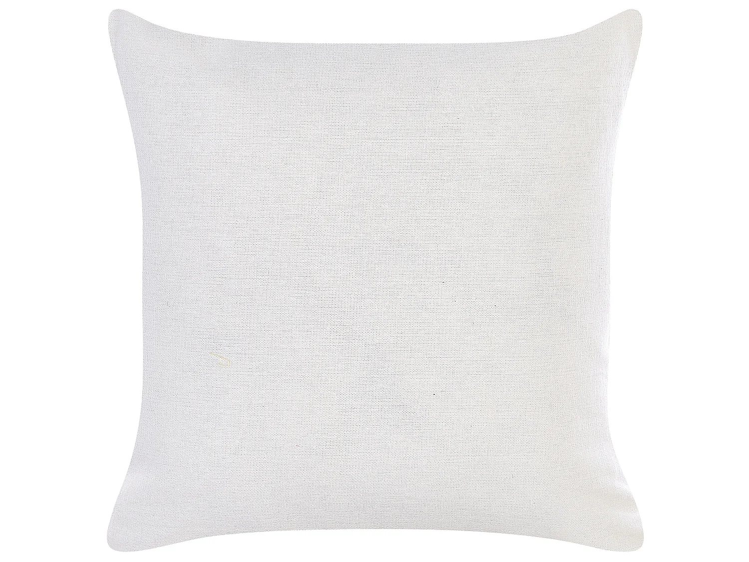Lot de 2 coussins décoratifs GOLDENROD Velours 45 x 45 cm Blanc Motif de plante
