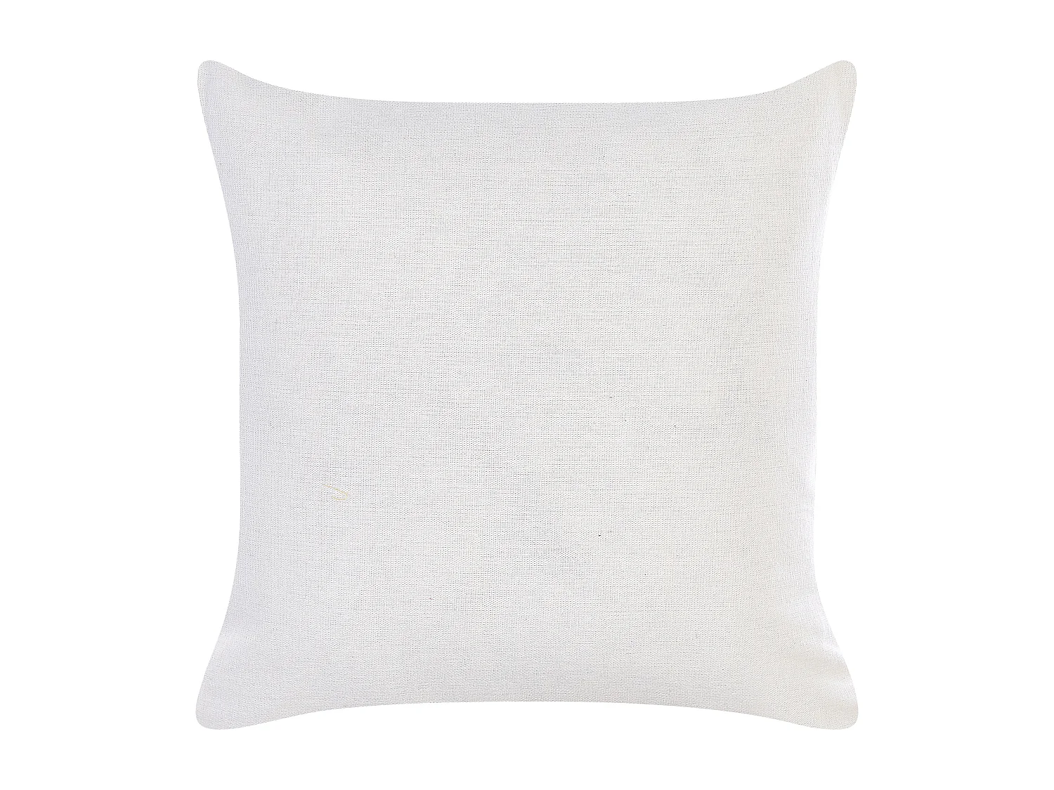 Lot de 2 coussins décoratifs GOLDENROD Velours 45 x 45 cm Blanc Motif de plante