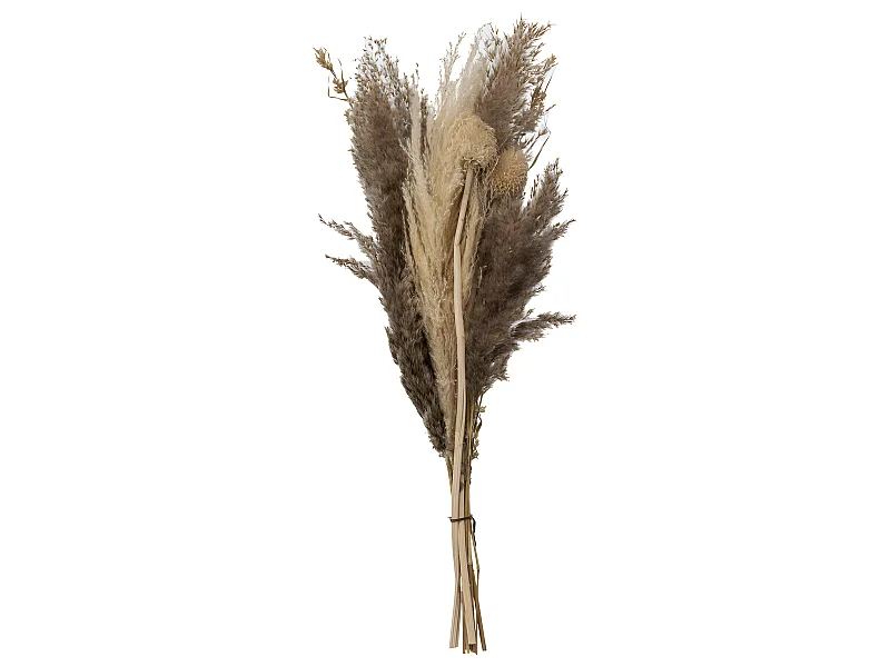 Bouquet de Fleurs Séchées "Pampa" 58cm Naturel