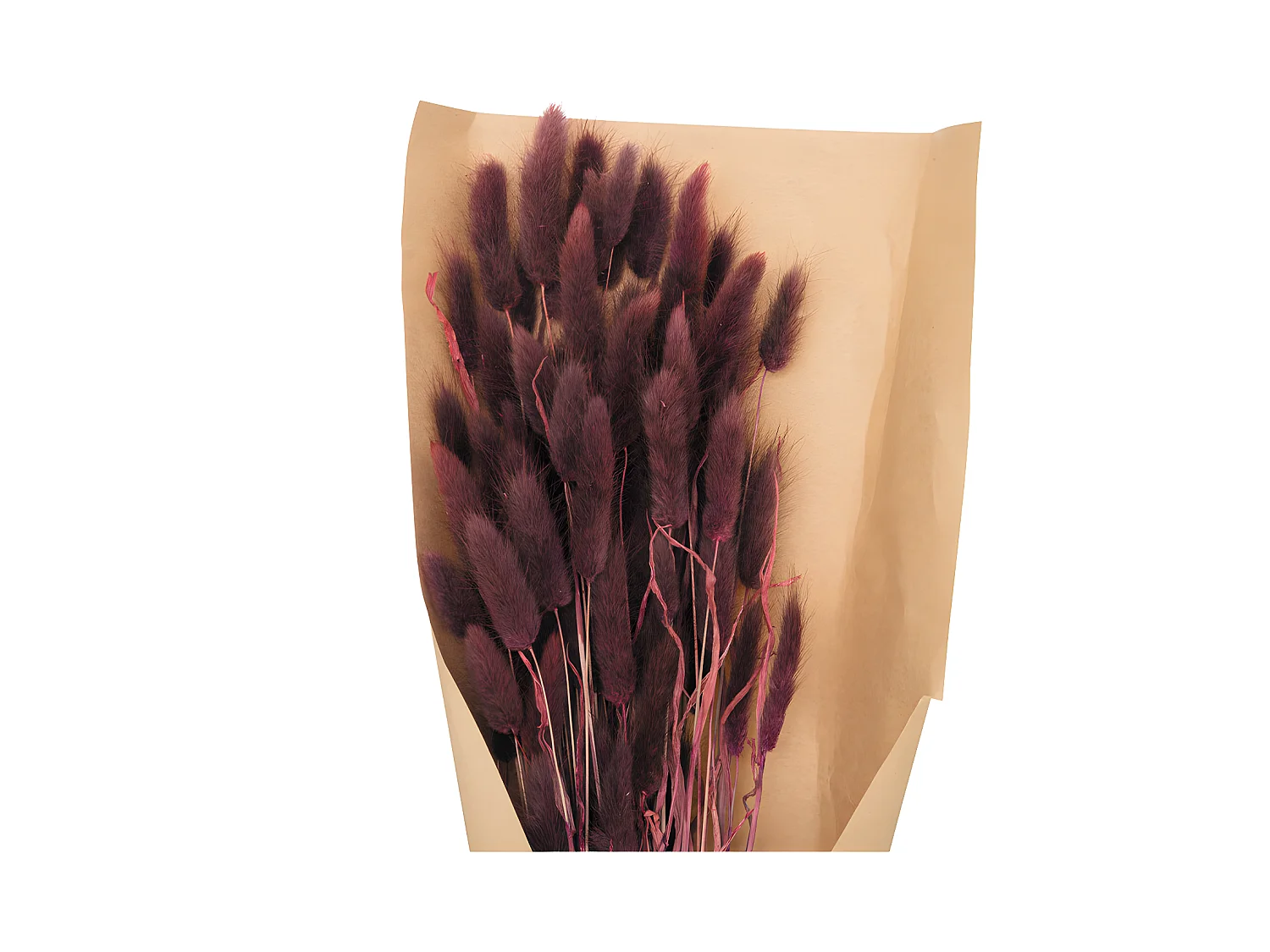 Bouquet de Fleurs Séchées Queue de Lapin Violet D. 18 x H. 58 cm