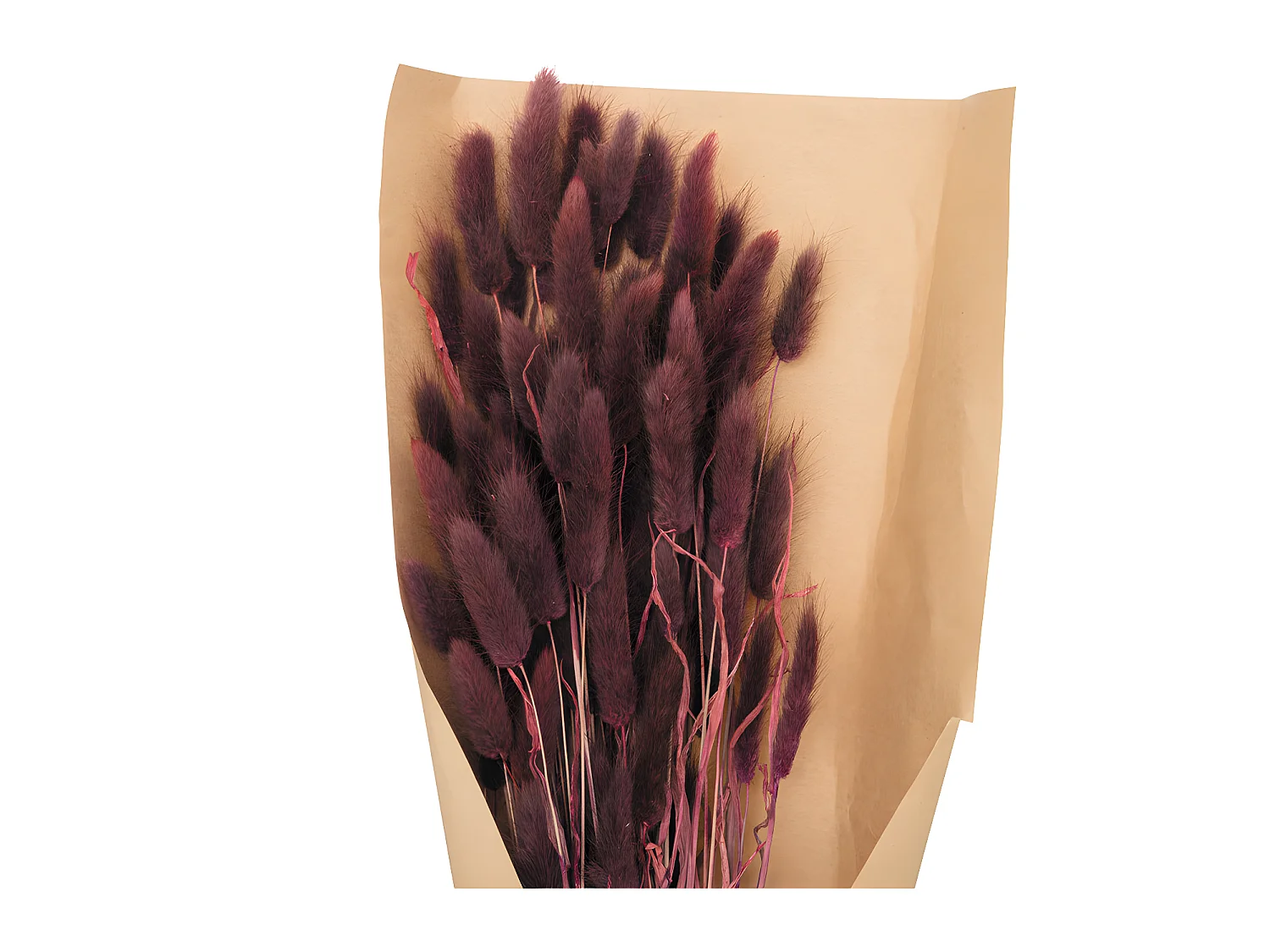 Bouquet de Fleurs Séchées Queue de Lapin Violet D. 18 x H. 58 cm