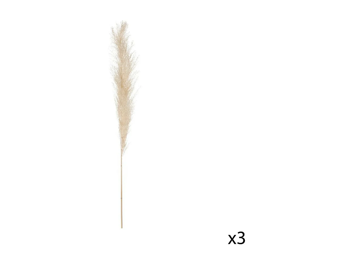 Set de 3 Branches de Pampa séchée Blanc ivoire H 109 cm