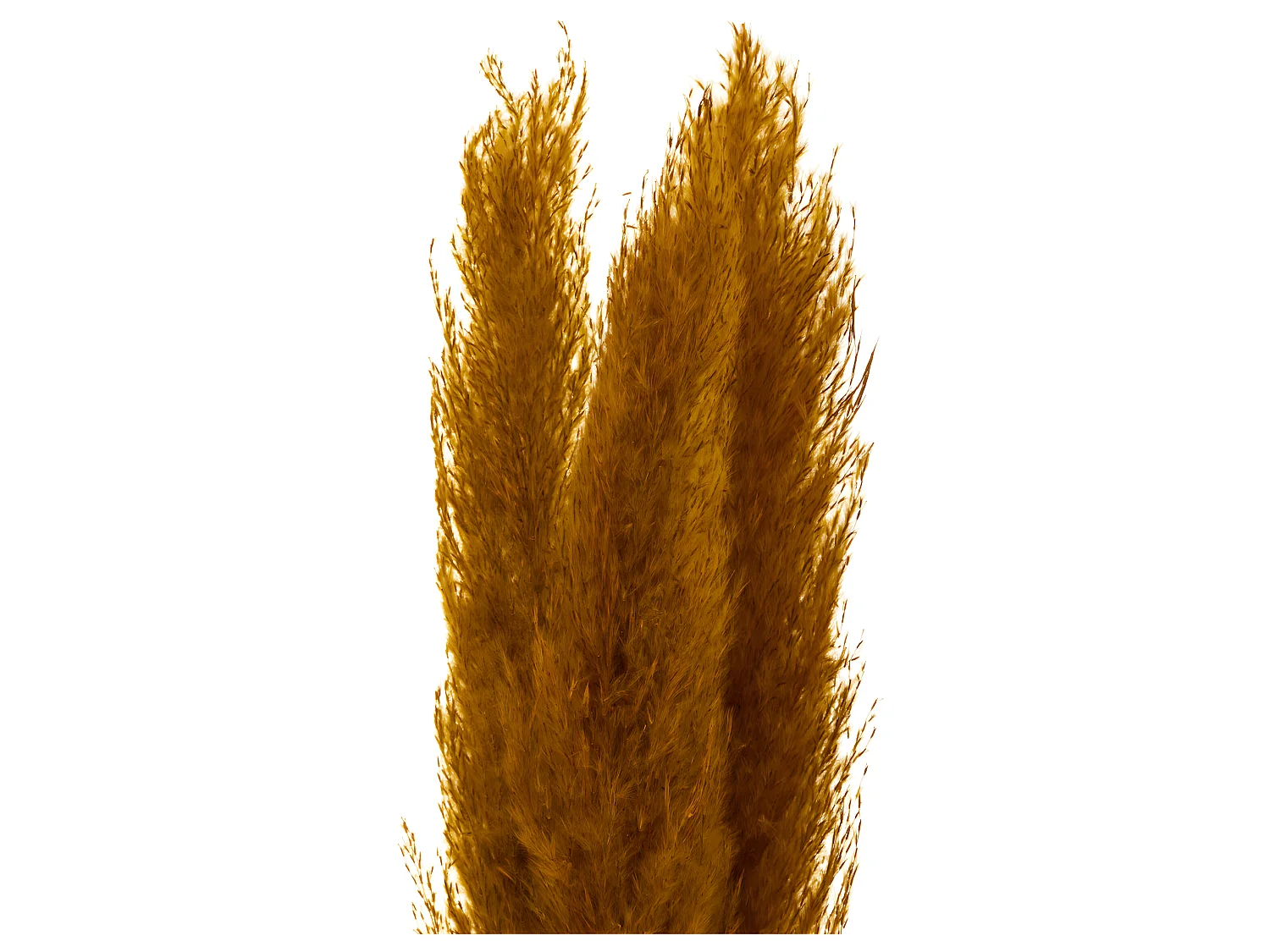 Lot de 3 Fleurs Artificielles "Pampa" 109cm Orange