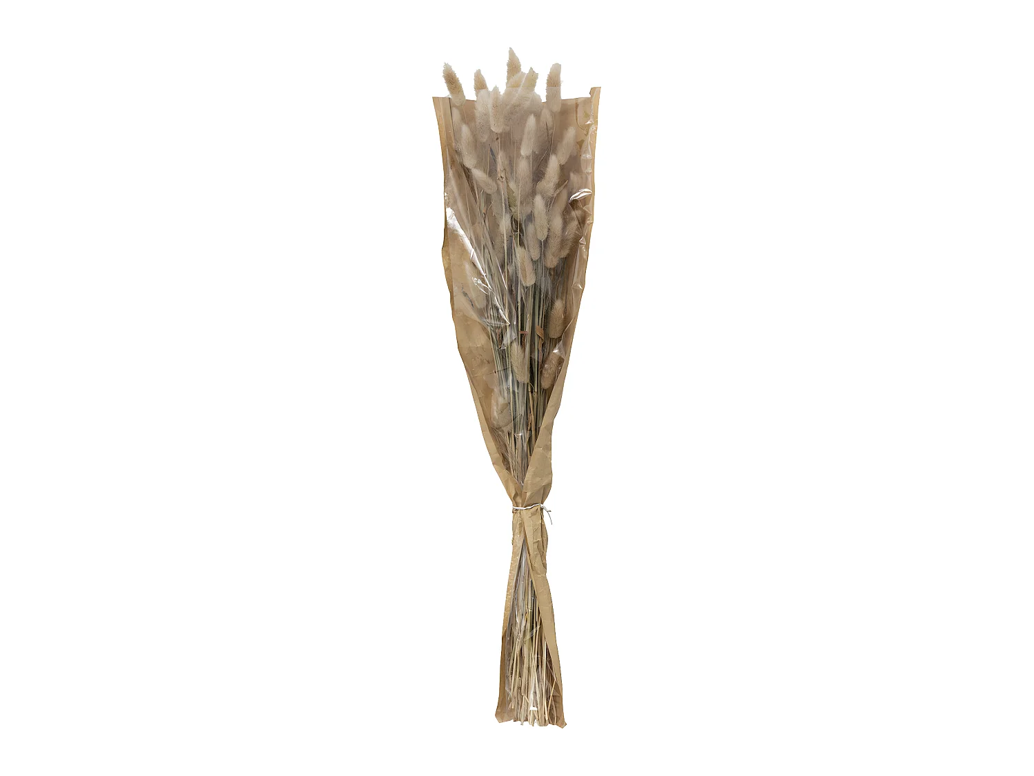 Bouquet de Fleurs Séchées Queue de Lapin Ivoire D. 18 x H. 58 cm