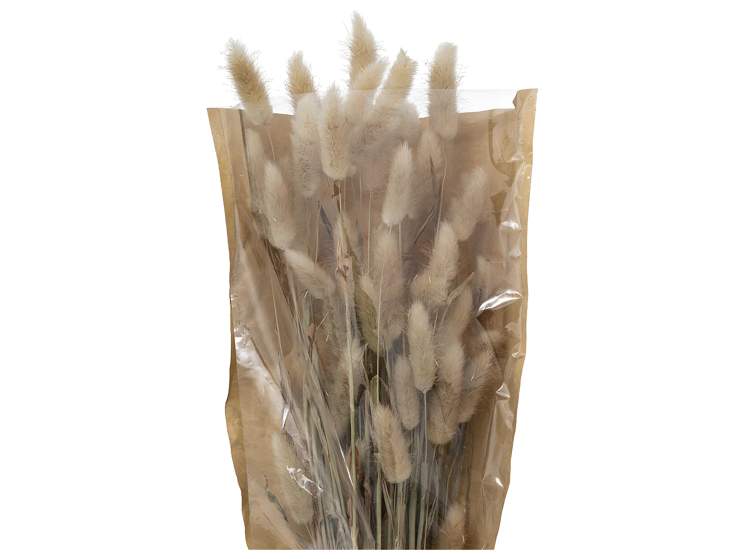 Bouquet de Fleurs "Queue de Lapin" 58cm Ivoire