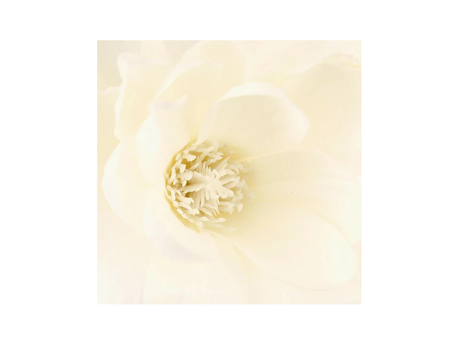 Composition Florale Avec Vase "Magnolia" 73cm Blanc