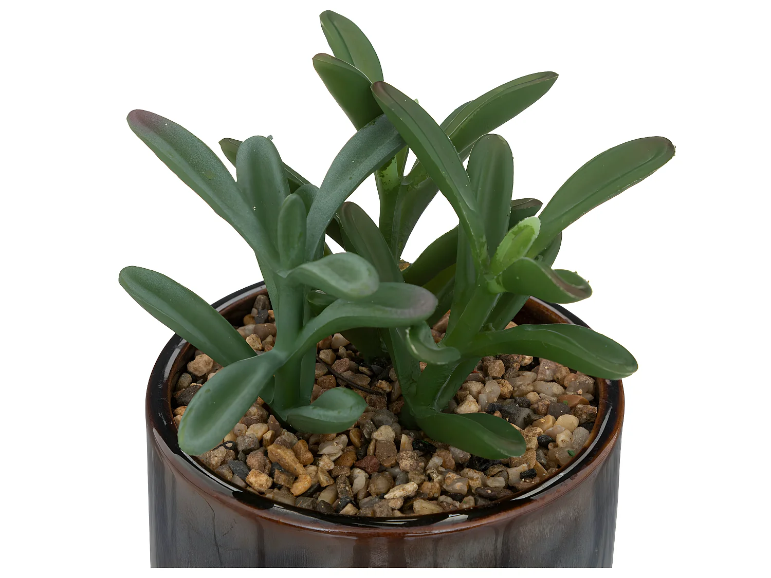 Plante grasse artificielle Pot en céramique émaillée H 17 cm