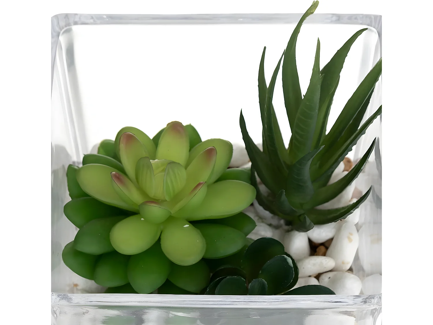 Composition "Plante Artificielle" 15cm Transparent