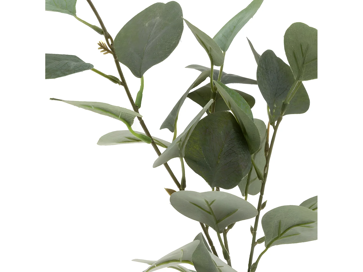 Vase & Eucalyptus "Corde" 45cm Vert