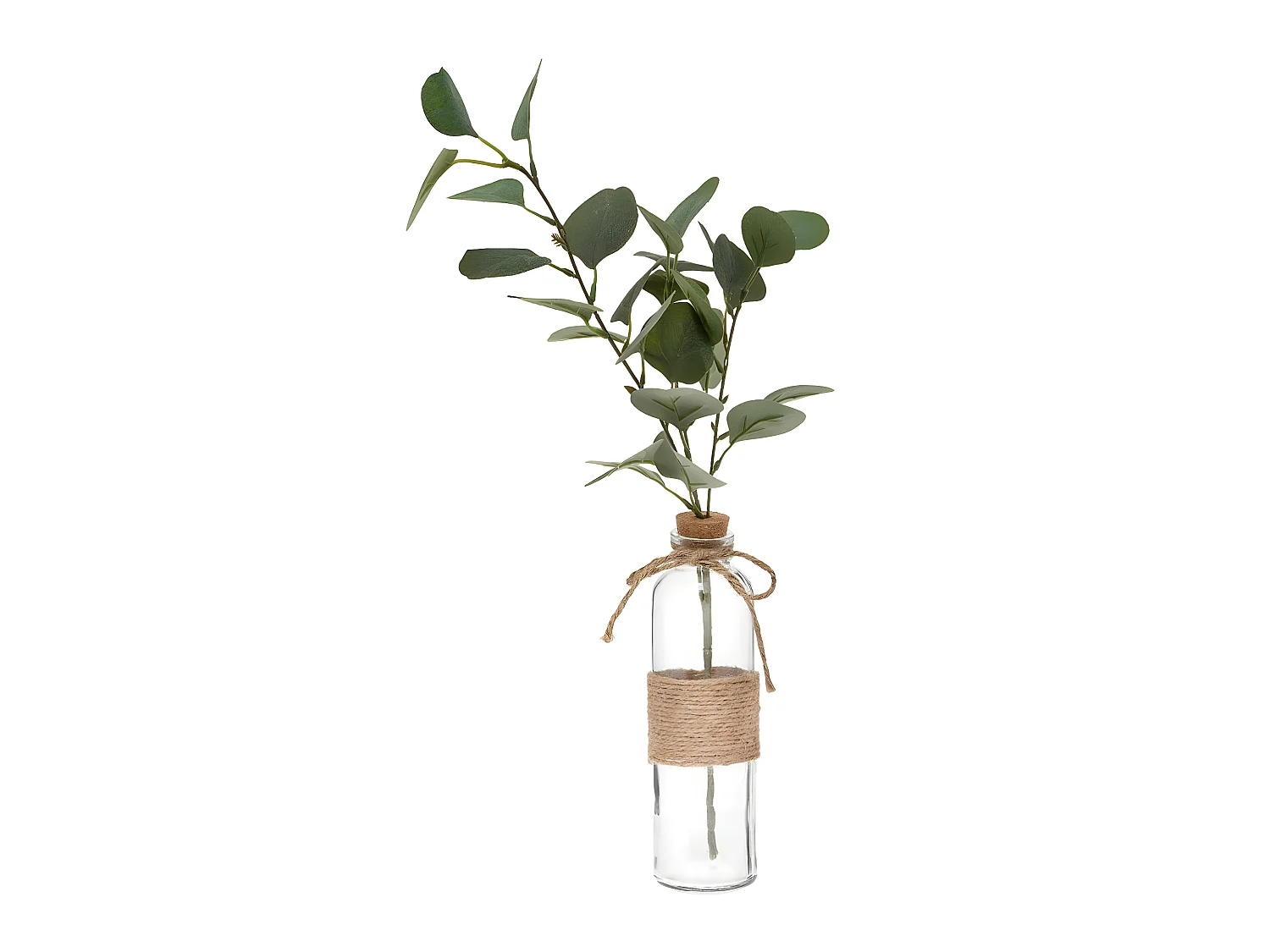 Vase & Eucalyptus "Corde" 45cm Vert
