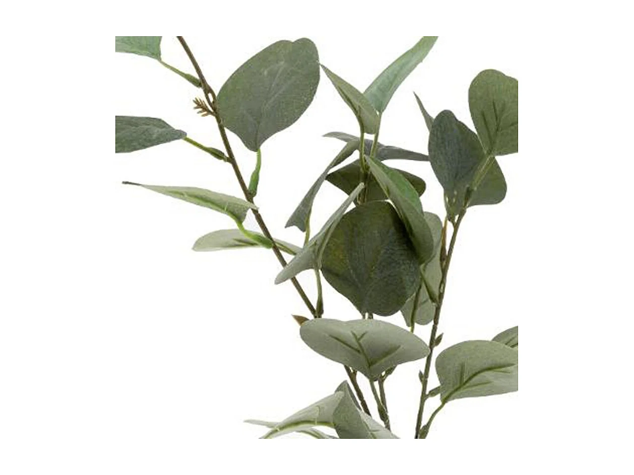 Vase & Eucalyptus "Corde" 45cm Vert
