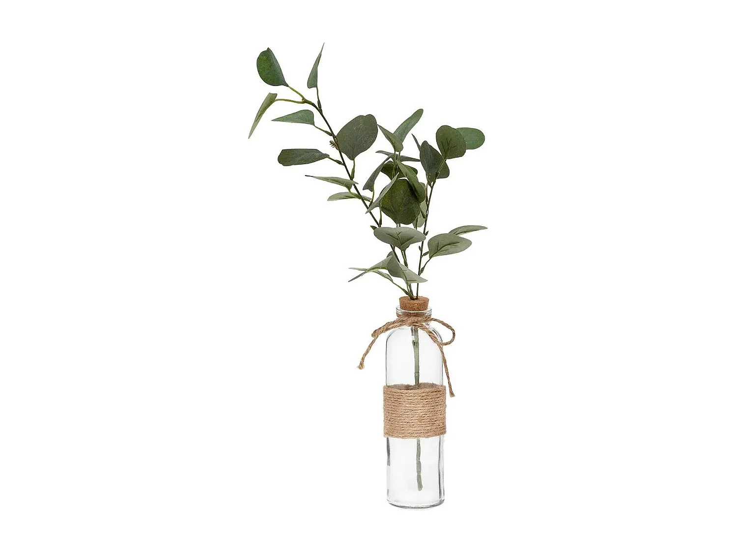 Vase & Eucalyptus "Corde" 45cm Vert