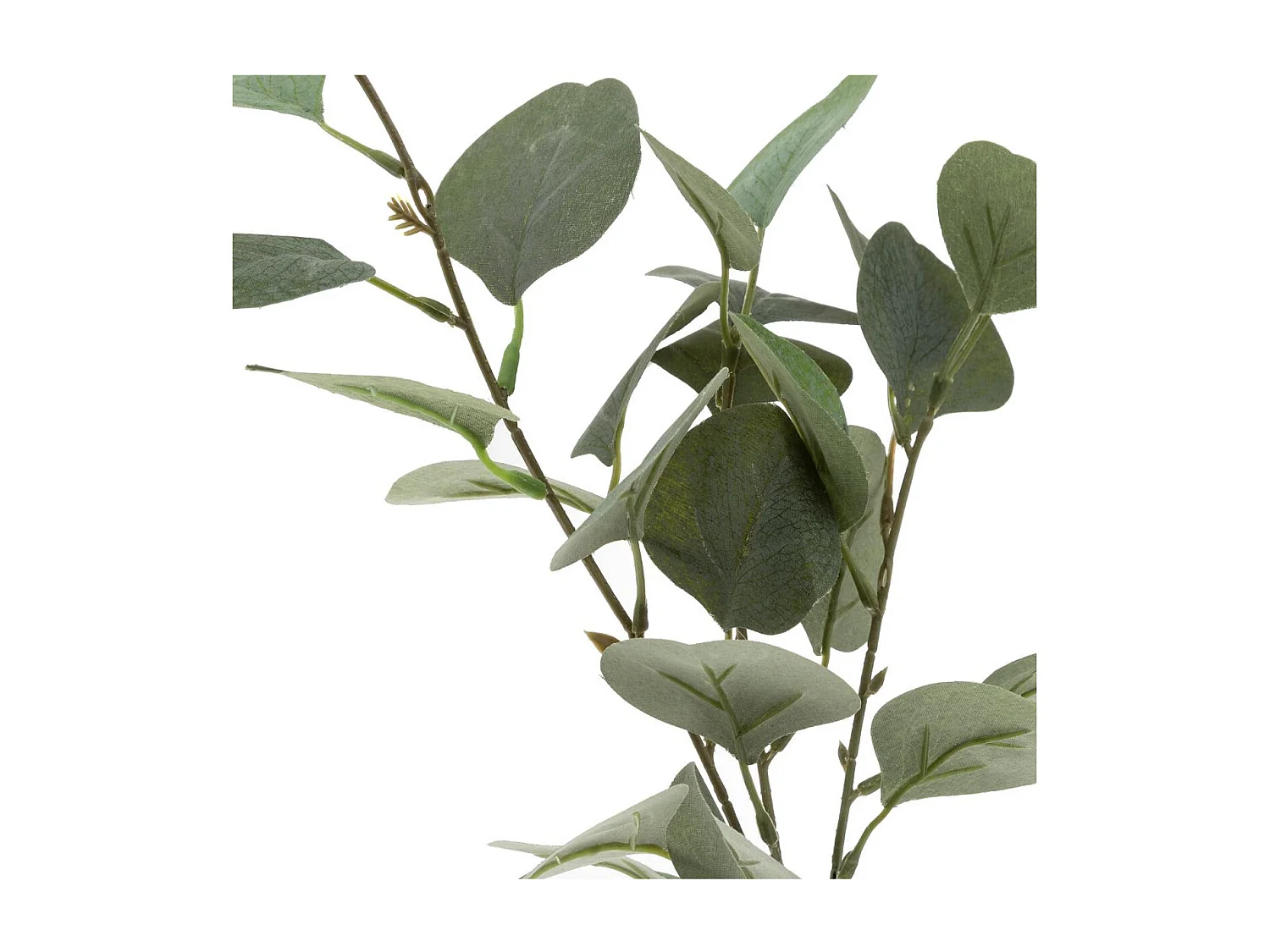 Vase & Eucalyptus "Corde" 45cm Vert