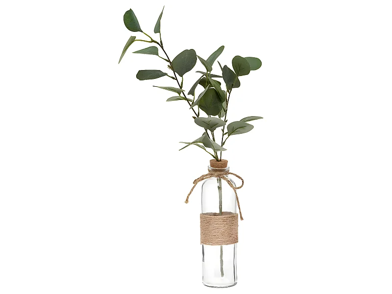 Vase & Eucalyptus "Corde" 45cm Vert