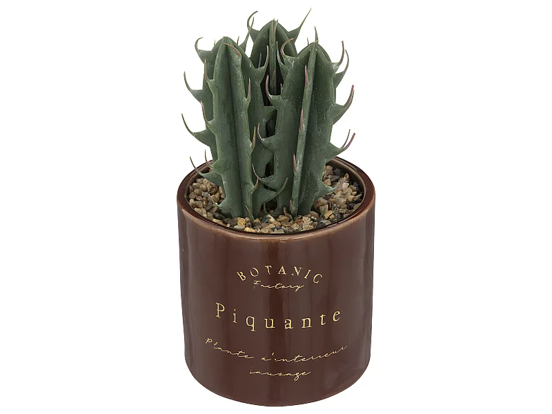 Plante grasse artificielle Pot en céramique émaillée H 19 cm