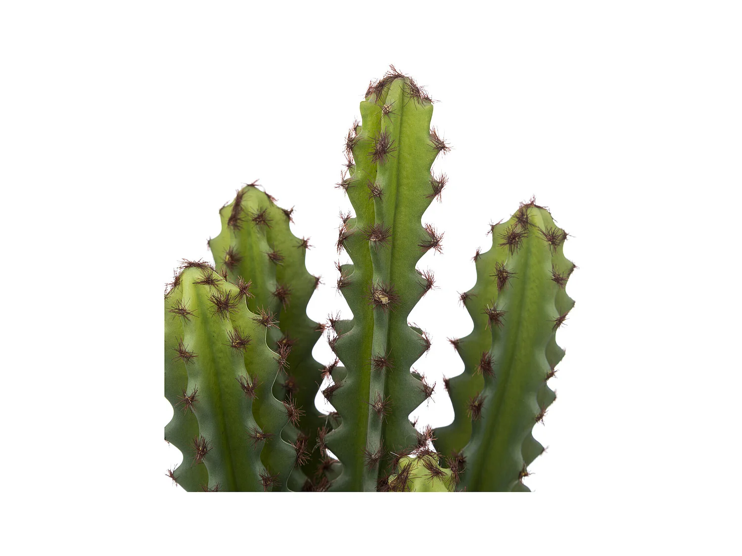 Plante Artificielle Cactus "Alicante" 30cm Vert