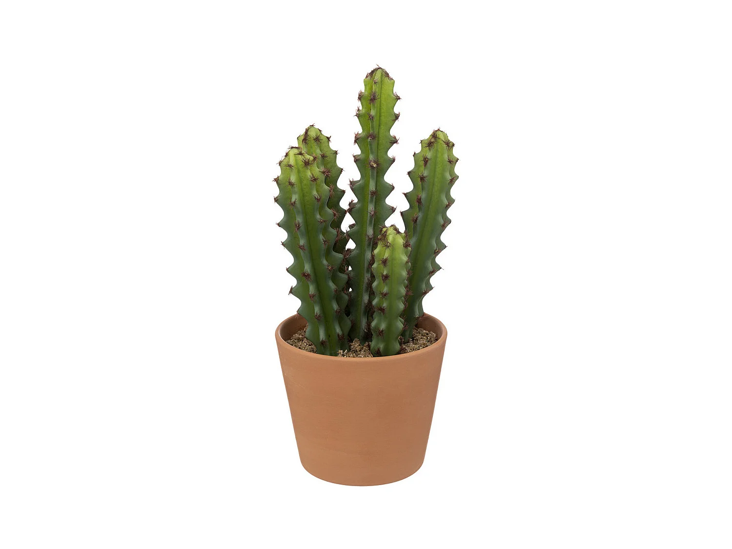 Plante Artificielle Cactus "Alicante" 30cm Vert