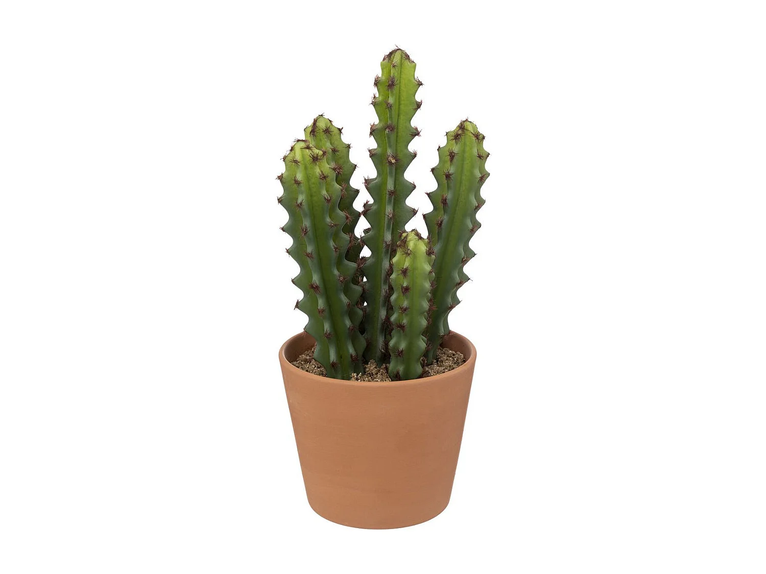 Plante Artificielle Cactus "Alicante" 30cm Vert