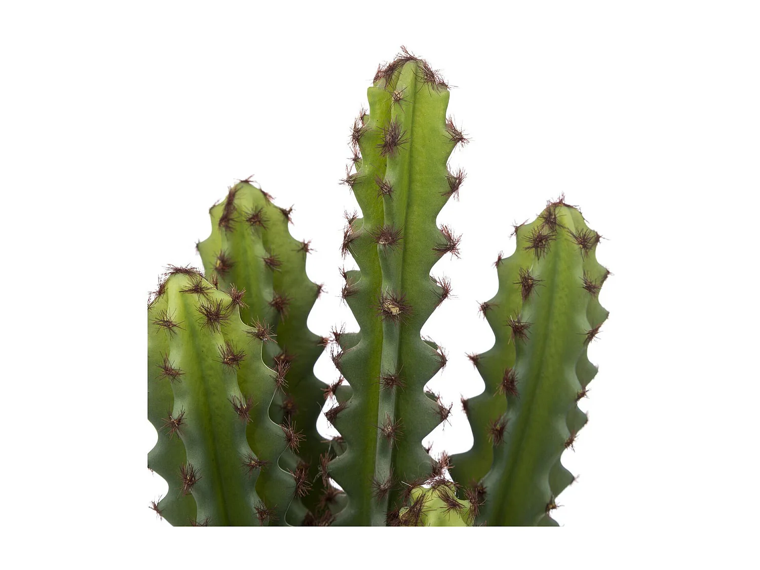 Plante Artificielle Cactus "Alicante" 30cm Vert