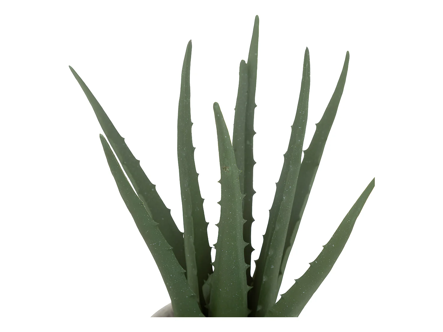 Plante artificielle Aloe vera Pot en coton H 29 cm