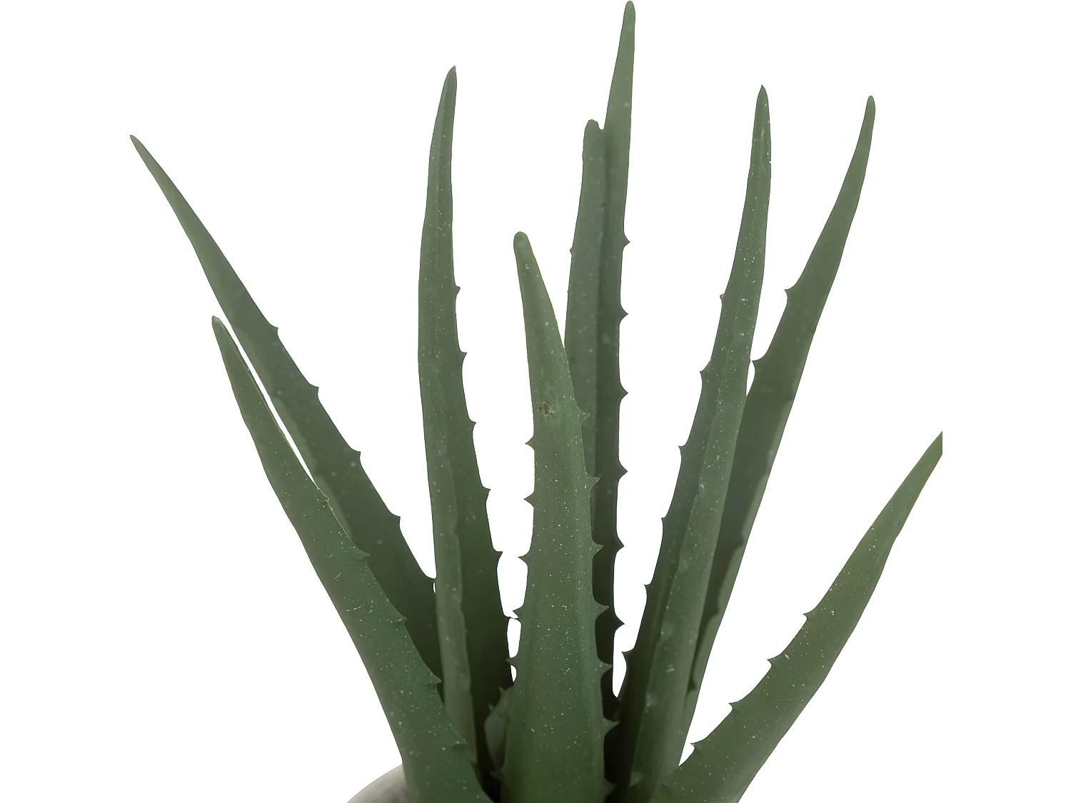 Plante artificielle Aloe vera Pot en coton H 29 cm