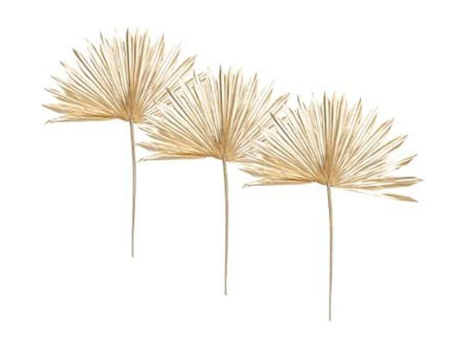 Lot de 3 Fleurs Tiges Séchées "Suite" 50cm Or