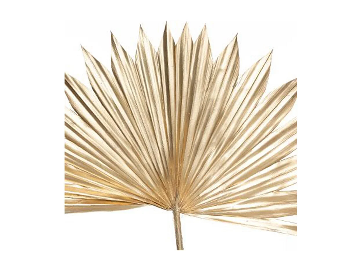 Lot de 3 Fleurs Tiges Séchées "Suite" 50cm Or