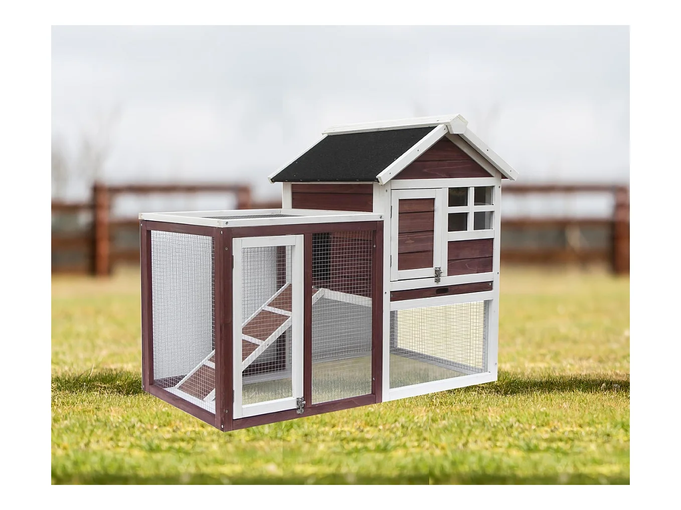 PO1206-Poulailler bicolore standard bi-corps