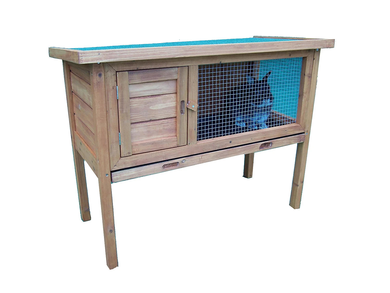 CL1007-Clapier sur pied