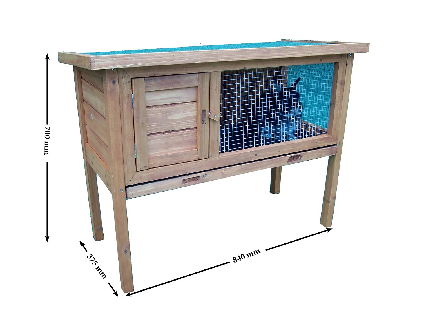 CL1007-Clapier sur pied