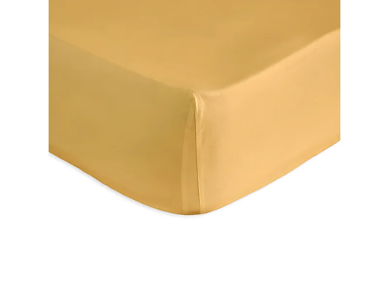 Sábana bajera de algodón mostaza 90x200+28 cm PURE